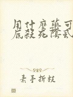 用什么药可以彻底杀死阴虱