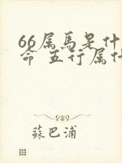 66属马是什么命 五行属什么