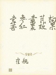 党参黄芪枸杞桑葚红枣效果
