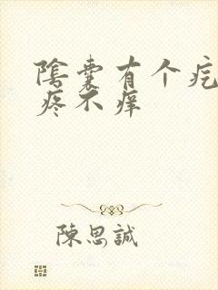 阴囊有个疙瘩不疼不痒封面