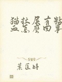猫拉屎有粘液带血怎么回事
