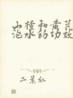 山楂和黄芪丹参泡水的功效与作用