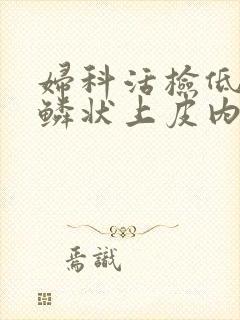 妇科活检低级别鳞状上皮内病变