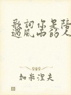 歌词你是陪我走过风雨的人是什么歌