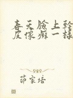 春天脸上干燥起皮像癣一样封面
