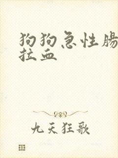 狗狗急性肠胃炎拉血