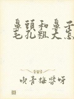 鼻头和鼻子两侧毛孔粗大怎么办