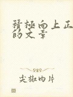 积极向上正能量的文章