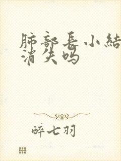 肺部长小结节会消失吗封面