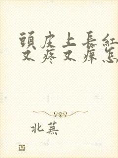 头皮上长红疙瘩又疼又痒怎么回事