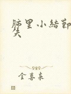 肺里小结节会消失封面