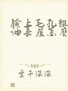 脸上毛孔粗大出油长痘怎么办