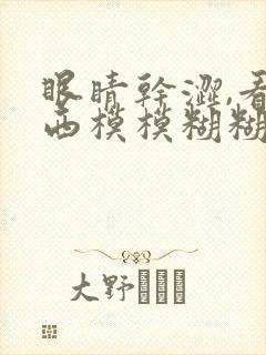 眼睛干涩,看东西模模糊糊的