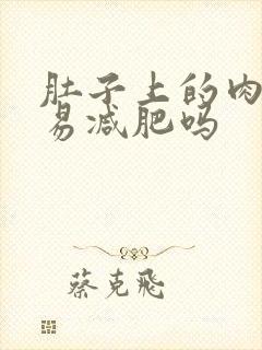 肚子上的肉松容易减肥吗