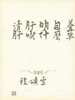 清肝明目养肝护肝吃什么草药