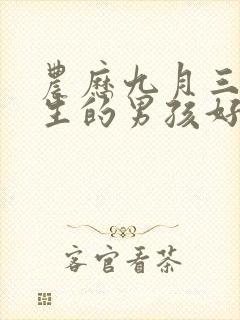 农历九月三十出生的男孩好吗
