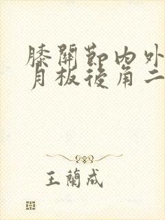 膝关节内外侧半月板后角二级损伤