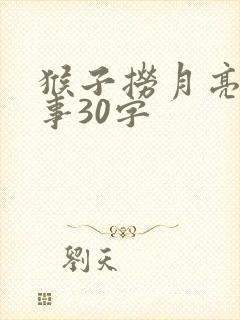 猴子捞月亮的故事30字