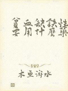贫血缺铁性贫血要用什么药好