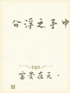 公浮之手中字5