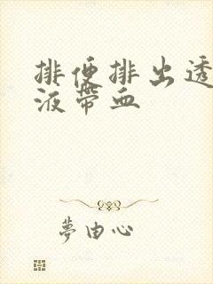 排便排出透明粘液带血封面