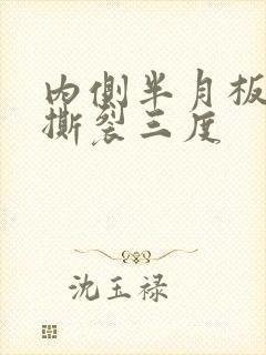 内侧半月板后角撕裂三度封面