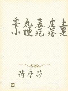 睾丸表皮上有个小硬疙瘩是怎么回事