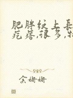 肥胖纹上长了红疙瘩,很多,特别痒