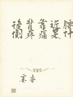 后背靠近腰部两侧疼痛是什么原因