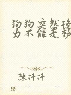狗狗突然后脚无力不能走动怎么回事
