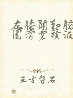左膝关节腔及周围滑囊积液