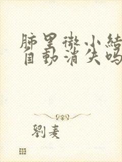 肺里微小结节会自动消失吗