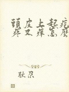 头皮上起疙瘩又疼又痒怎么回事