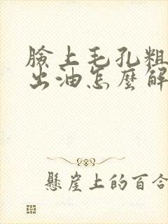 脸上毛孔粗大爱出油怎么解决