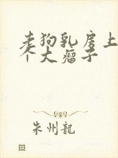 老狗乳房上长了个大瘤子