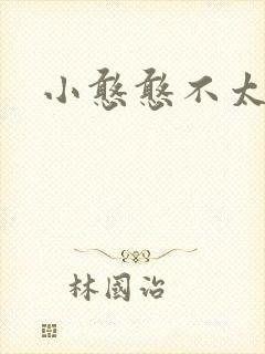 小憨憨不太二封面