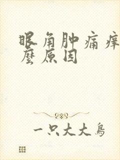眼角肿痛痒是什么原因