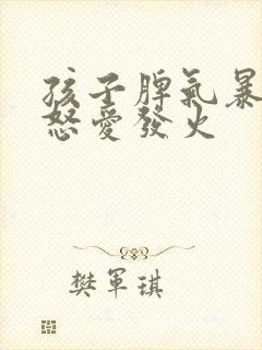 孩子脾气暴躁易怒爱发火封面