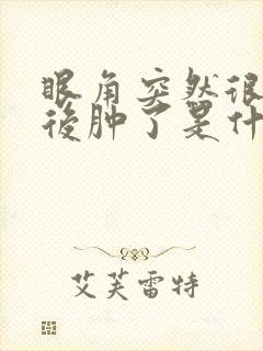 眼角突然很痒然后肿了是什么情况