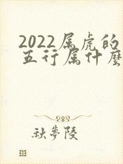 2022属虎的五行属什么命