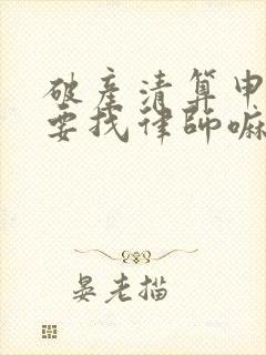 破产清算申请需要找律师嘛封面