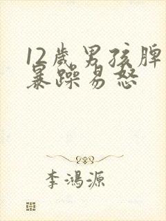 12岁男孩脾气暴躁易怒
