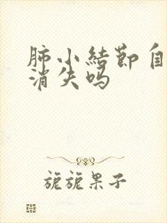 肺小结节自己会消失吗