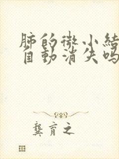 肺的微小结节会自动消失吗