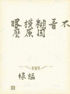 眼模糊看不清什么原因
