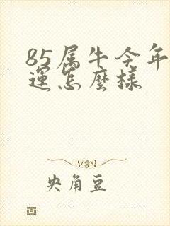 85属牛今年财运怎么样