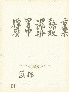 脾胃湿热重吃什么中药效果好