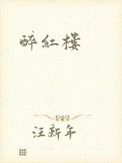 醉红楼封面