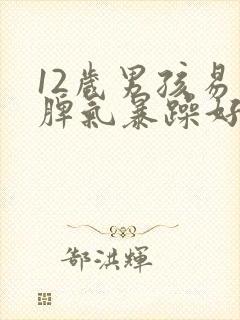 12岁男孩易怒脾气暴躁好哭封面