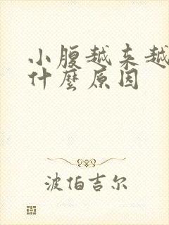 小腹越来越胖是什么原因